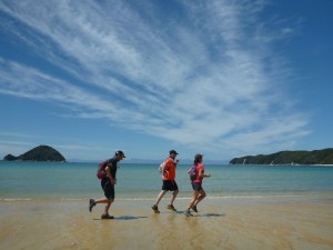 Abel Tasman Coast Track