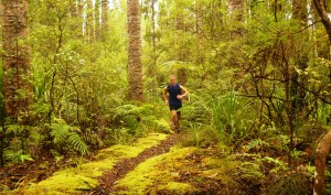 Hunua Heaven (Steve Neary)