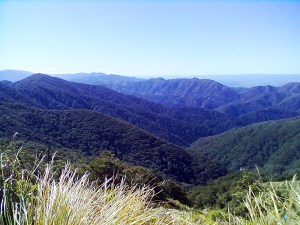 Mt Climie Wairarapa